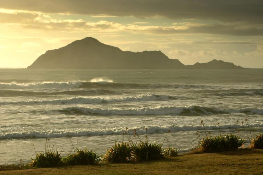 Cape South Estate - International Award-Winning Country Estate With Pacific Views Havelock North Zewnętrze zdjęcie