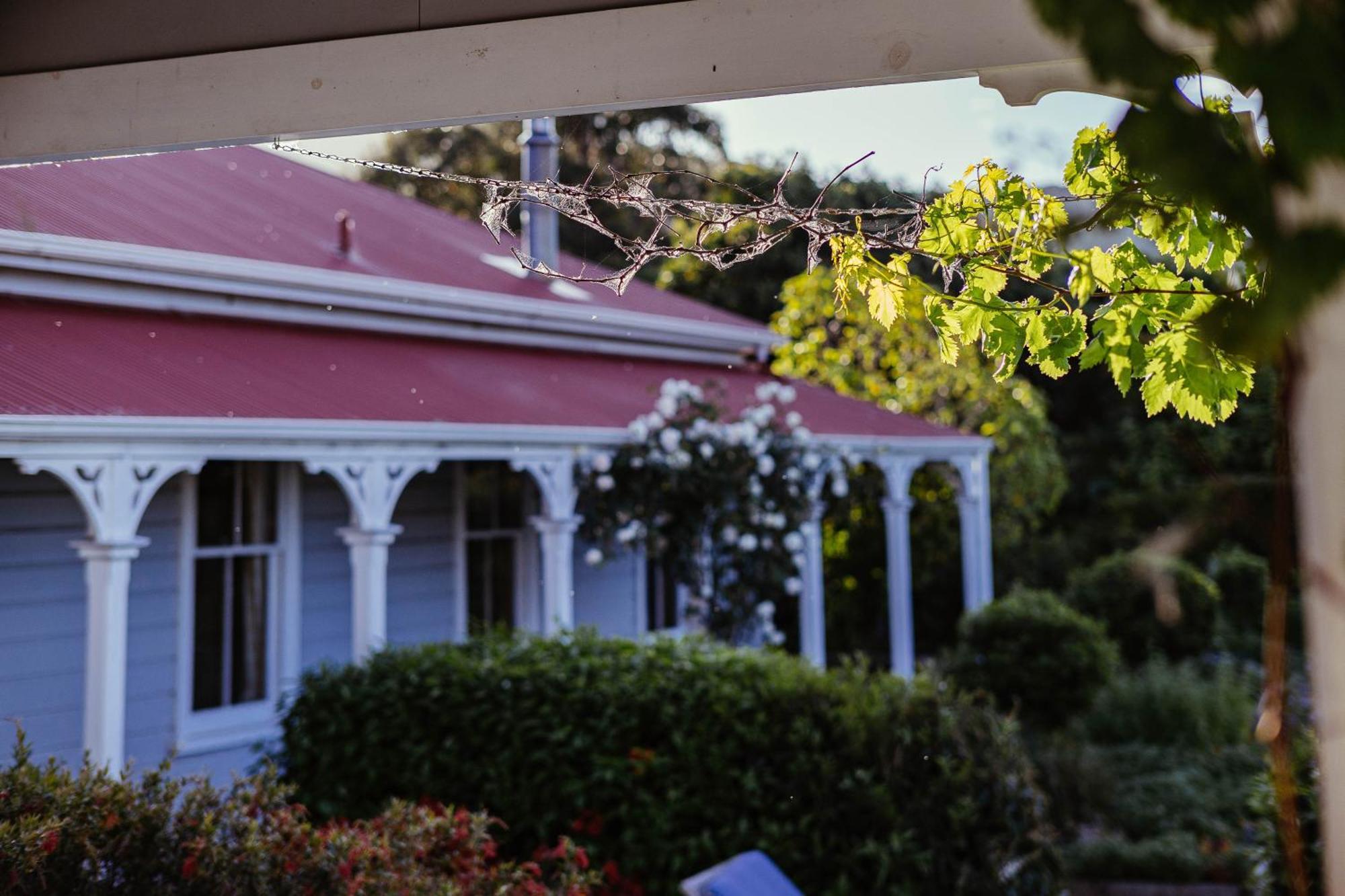 Cape South Estate - International Award-Winning Country Estate With Pacific Views Havelock North Zewnętrze zdjęcie